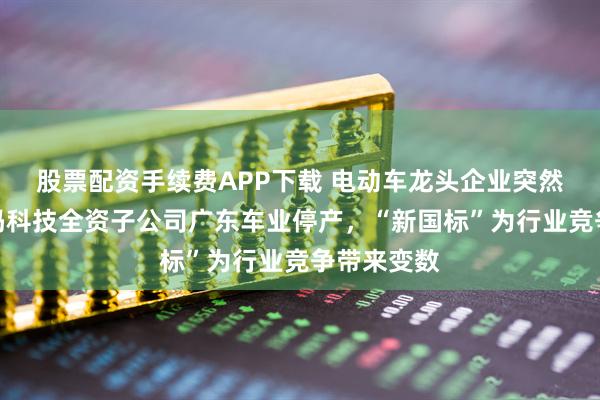 股票配资手续费APP下载 电动车龙头企业突然出手！爱玛科技全资子公司广东车业停产，“新国标”为行业竞争带来变数