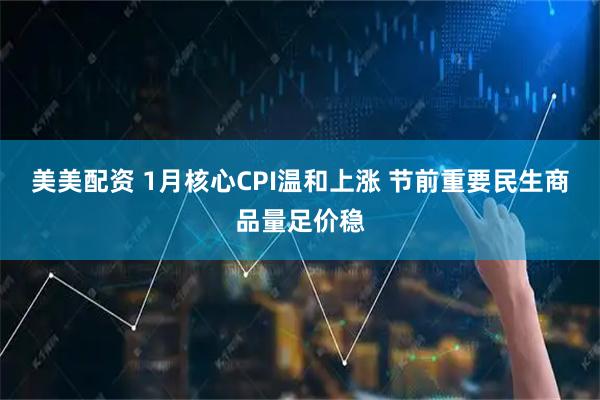 美美配资 1月核心CPI温和上涨 节前重要民生商品量足价稳