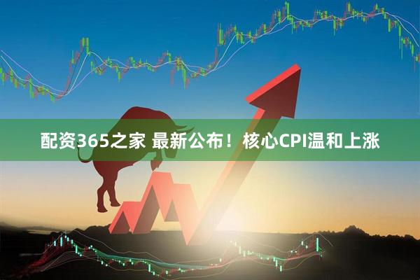 配资365之家 最新公布！核心CPI温和上涨